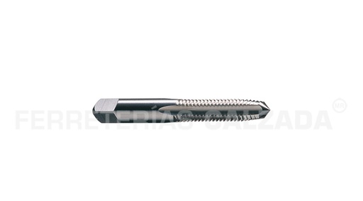 [CLEC54625] MACHUELO A.V. M10 X 1.50  CLEVELAND